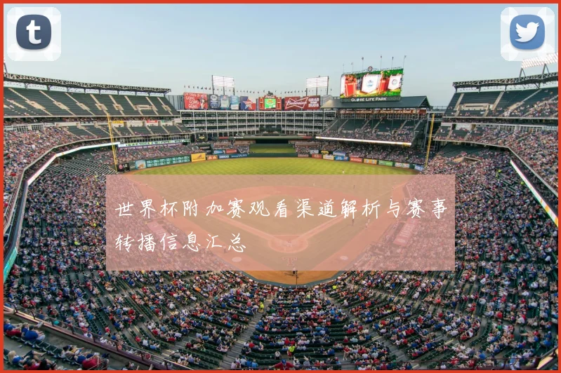 世界杯附加赛观看渠道解析与赛事转播信息汇总