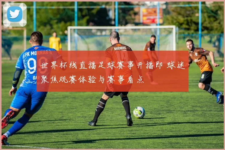 世界杯线直播足球赛事开播即 球迷聚焦观赛体验与赛事看点