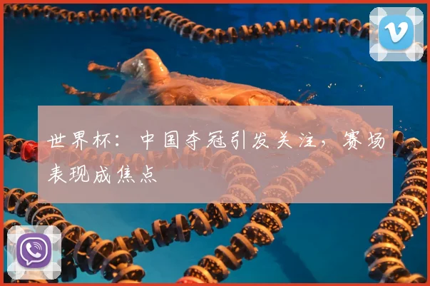 世界杯：中国夺冠引发关注，赛场表现成焦点