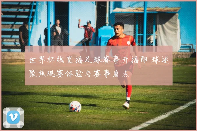 世界杯线直播足球赛事开播即 球迷聚焦观赛体验与赛事看点