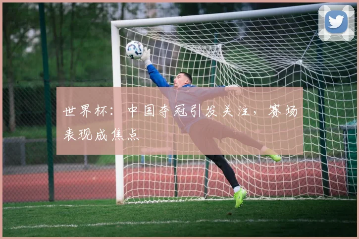 世界杯:中国夺冠引发关注,赛场表现成焦点