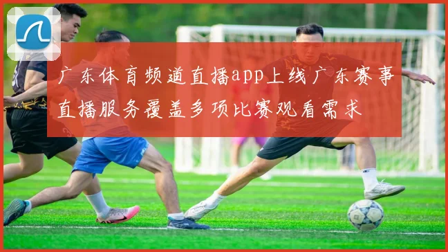 广东体育频道直播app上线广东赛事直播服务覆盖多项比赛观看需求