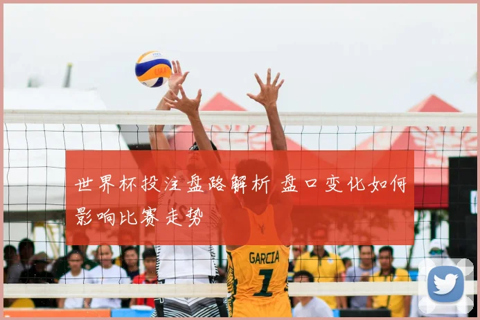 世界杯投注盘路解析 盘口变化如何影响比赛走势