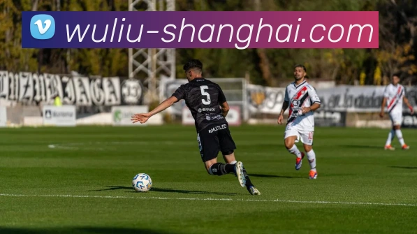 云开app官网入口网页版平台生态图